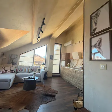 Deluxe Apartment *
